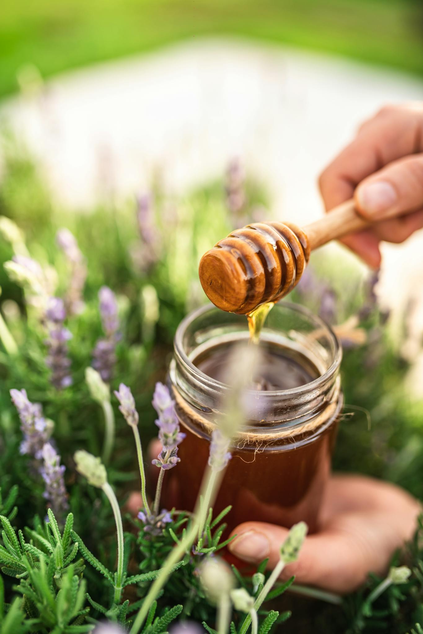 Honey dipper with jar in a lush garden setting with lavender flowers.